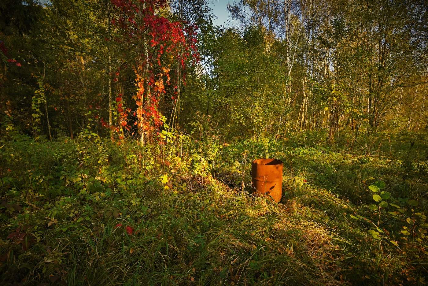 "Иду я с корзинкой, в лесу ни грибочка; смотрю возле леса, какая-то бочка..."