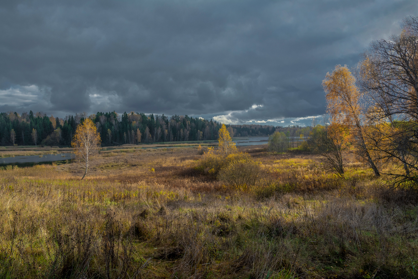 осенние зарисовки