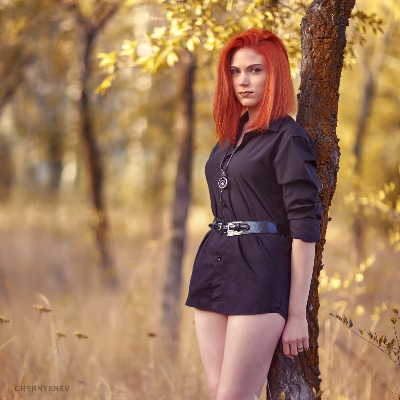 из альбома "логика листьев".