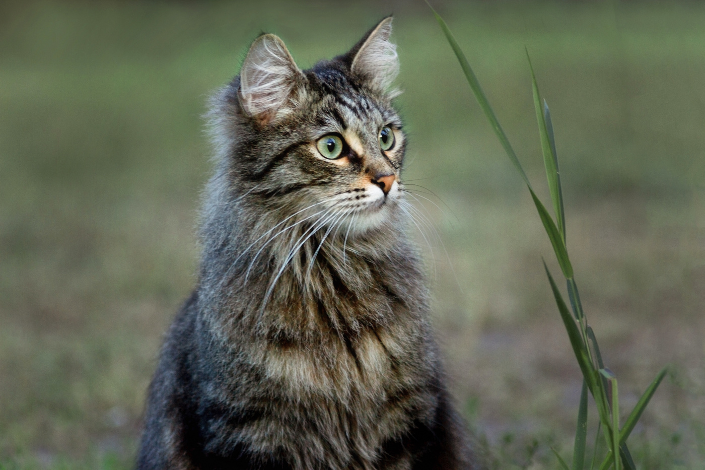 "Удивительное рядом"