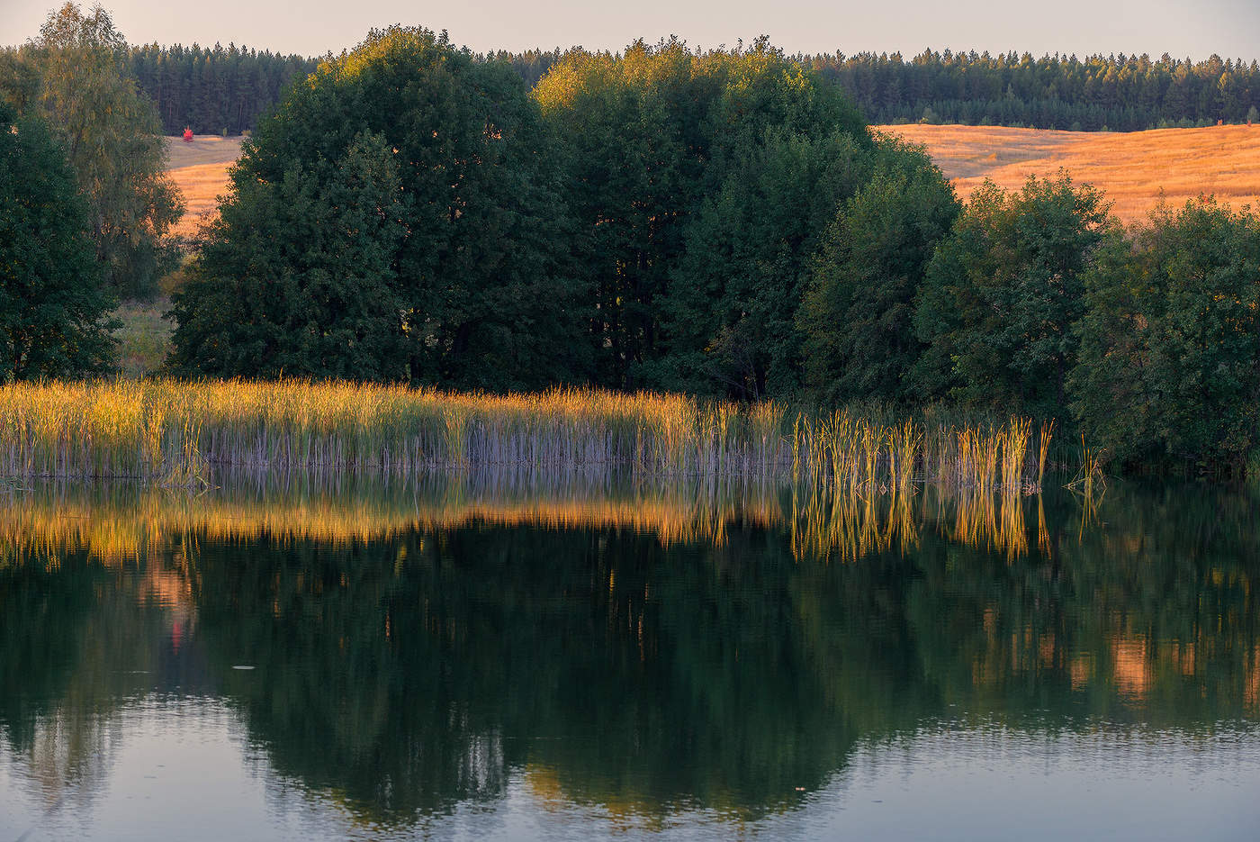 Свет уходящего дня...