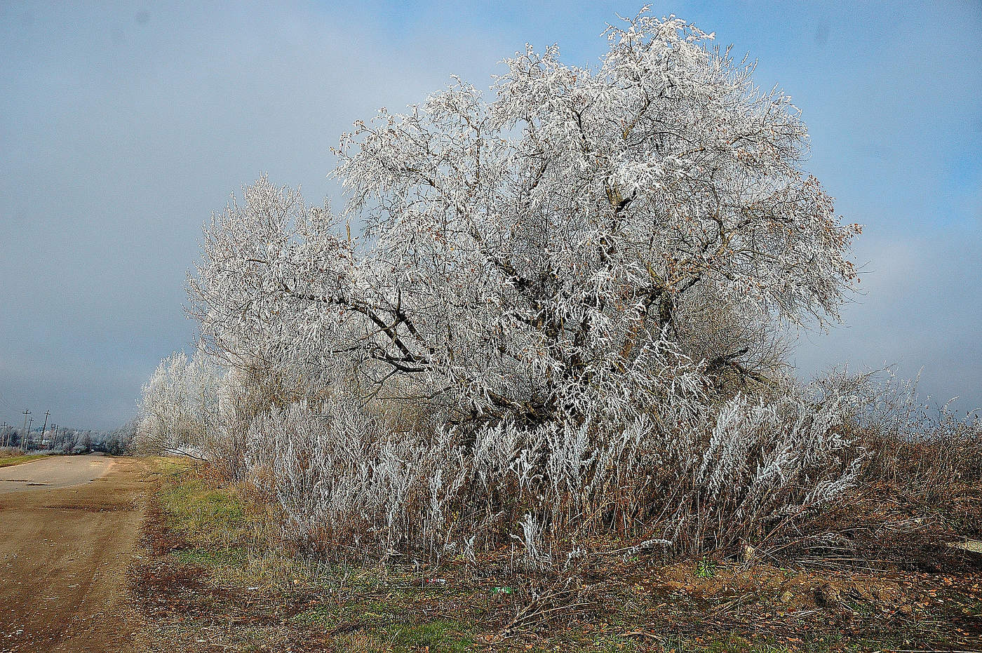 Морозная седина