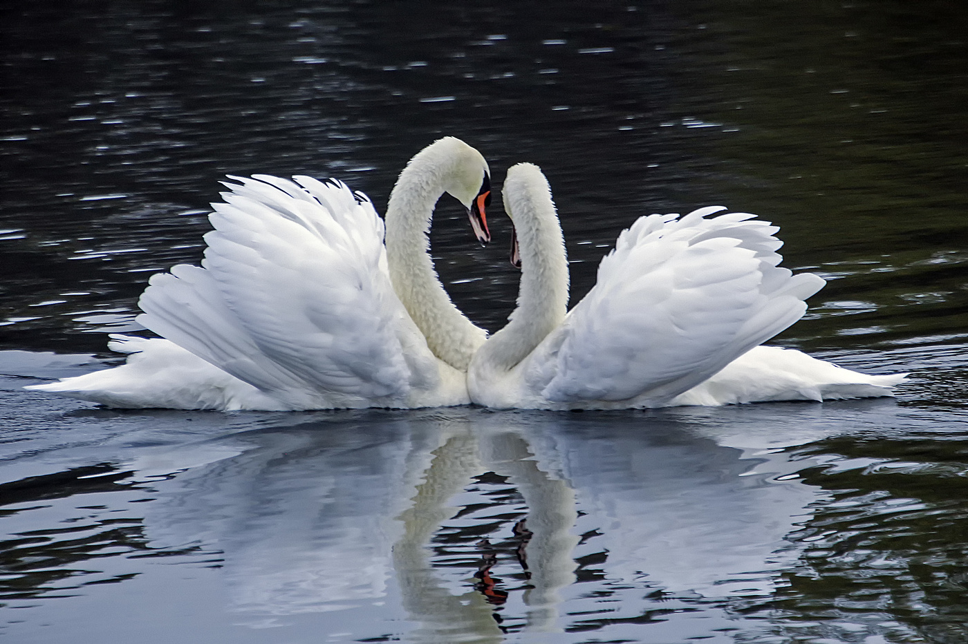 Влюблённые