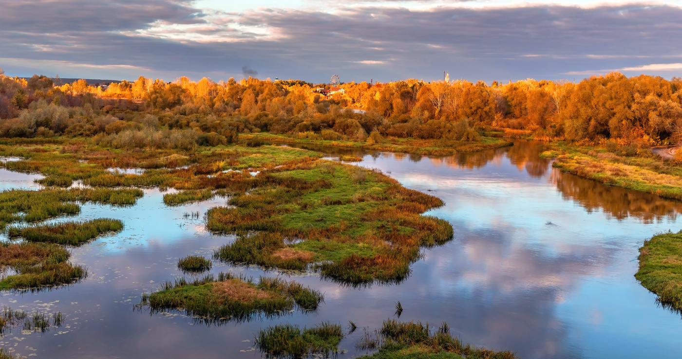 Фиолетовым по осени.