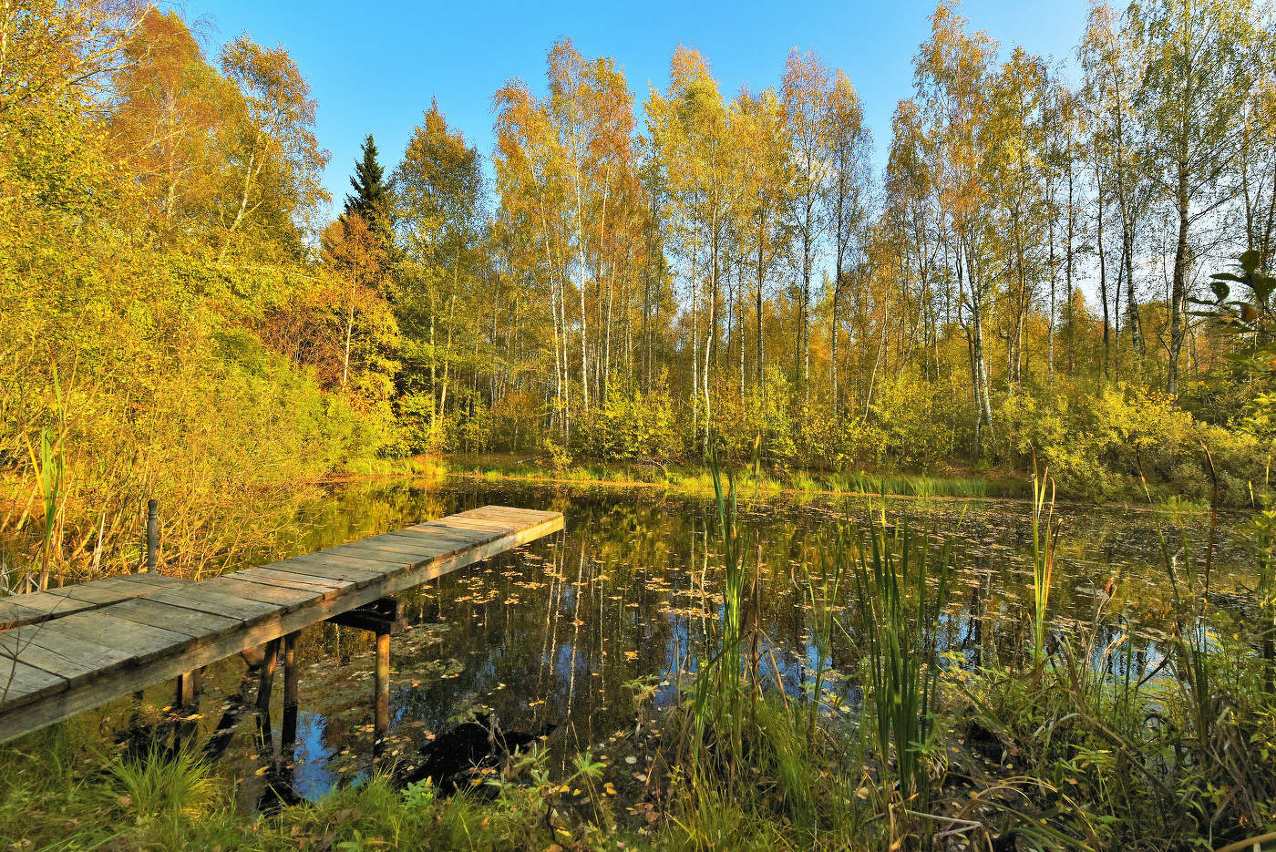 "Хлопотала осень, быстро стаскивая с веток золотые кружева..."