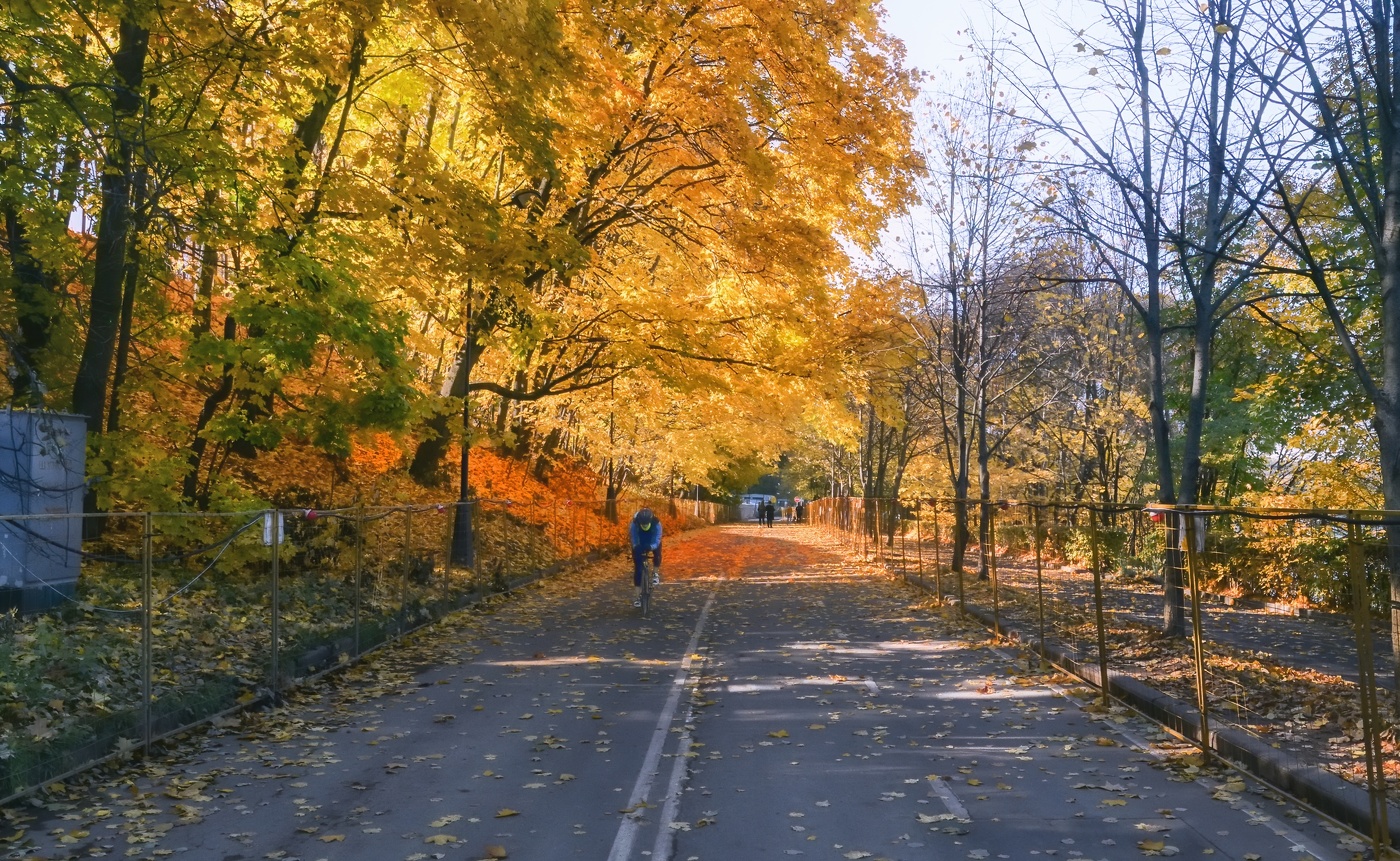 Время клёна