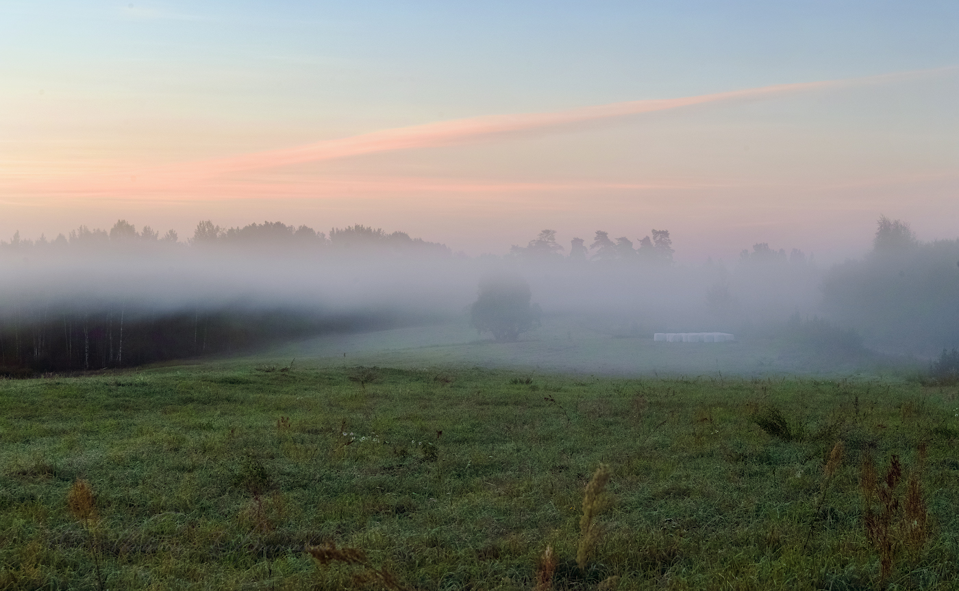 Туманное утро