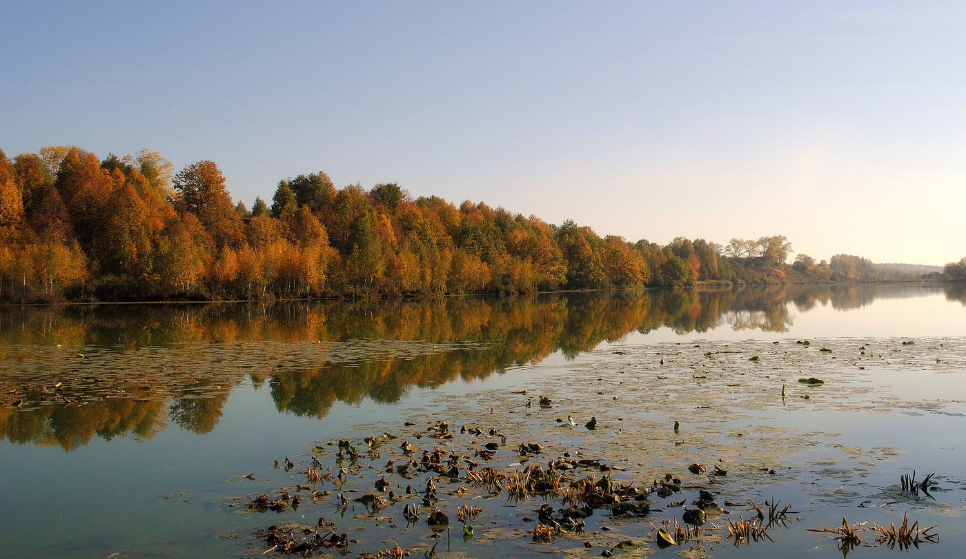 Короткая, но дивная пора....