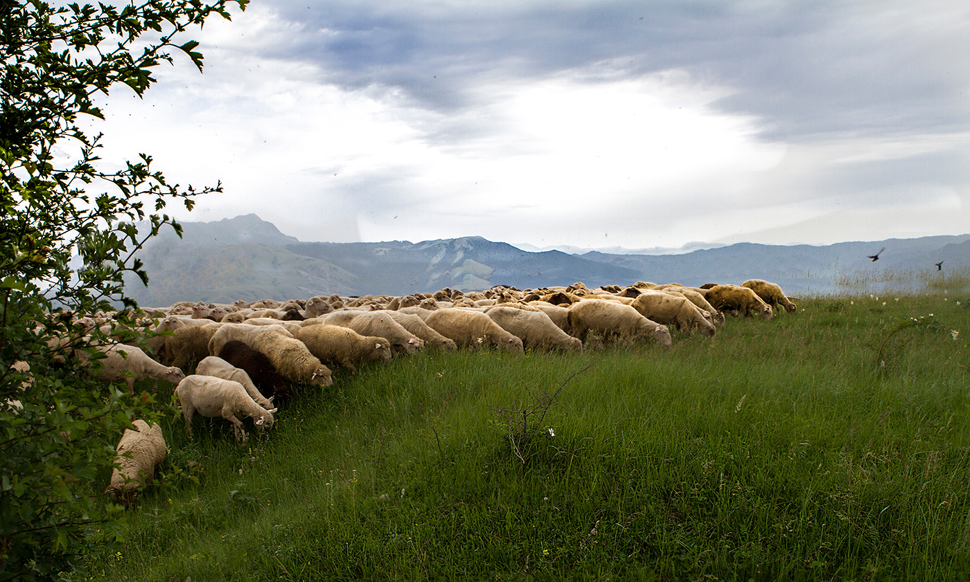 Вечернее наступление.