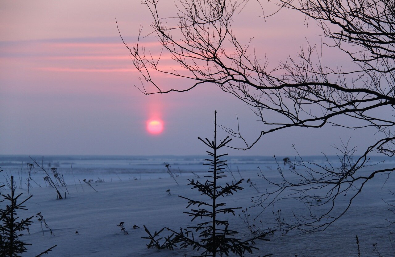 Морозное утро