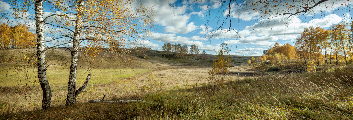 Осенний полдень.