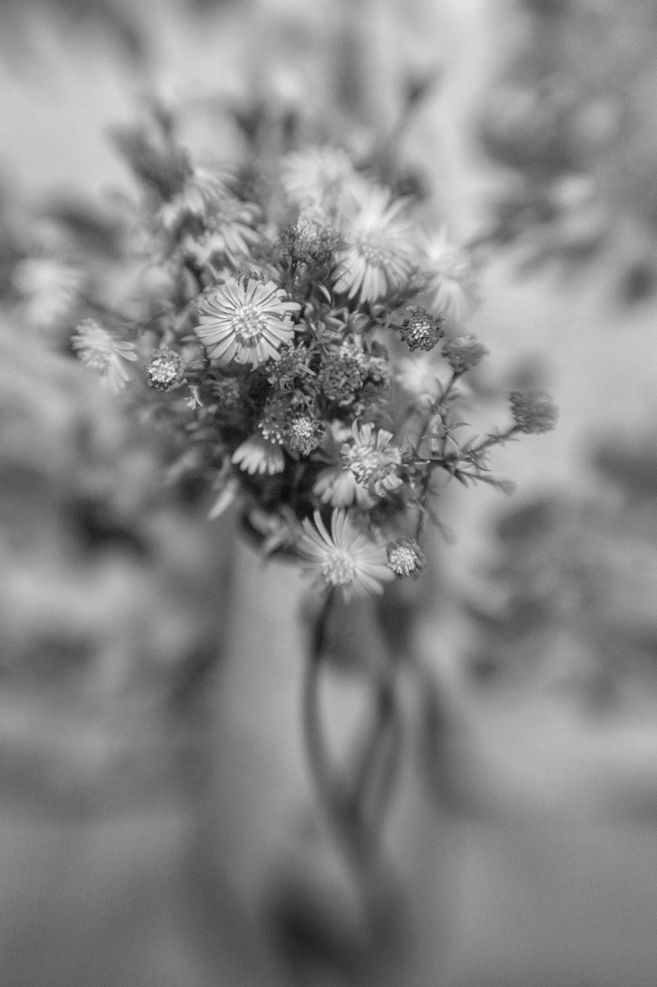 Жизнь вокруг