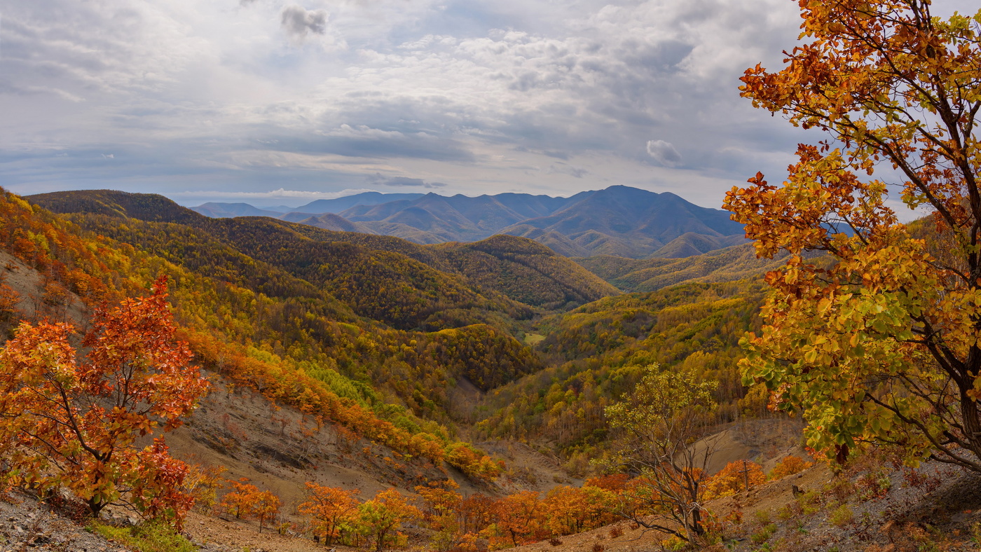 Осенний Сихотэ-Алинь