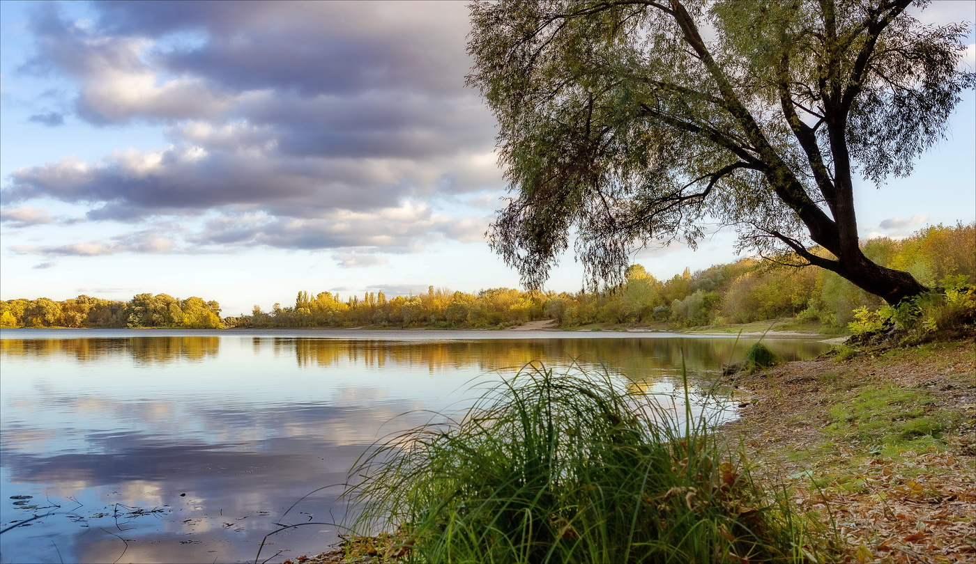 В ИВОВОМ КРУГУ