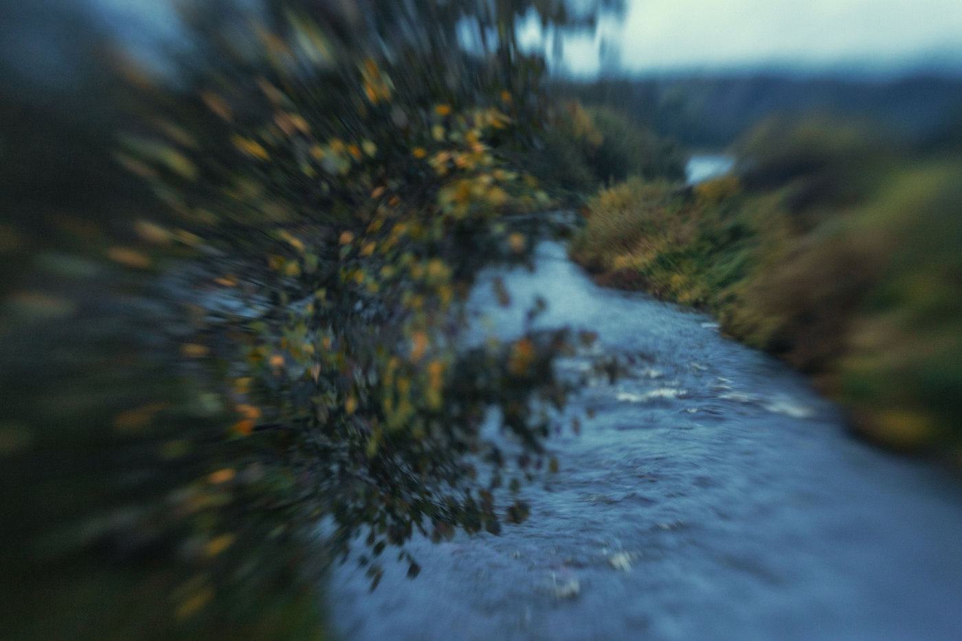 Жизнь вокруг