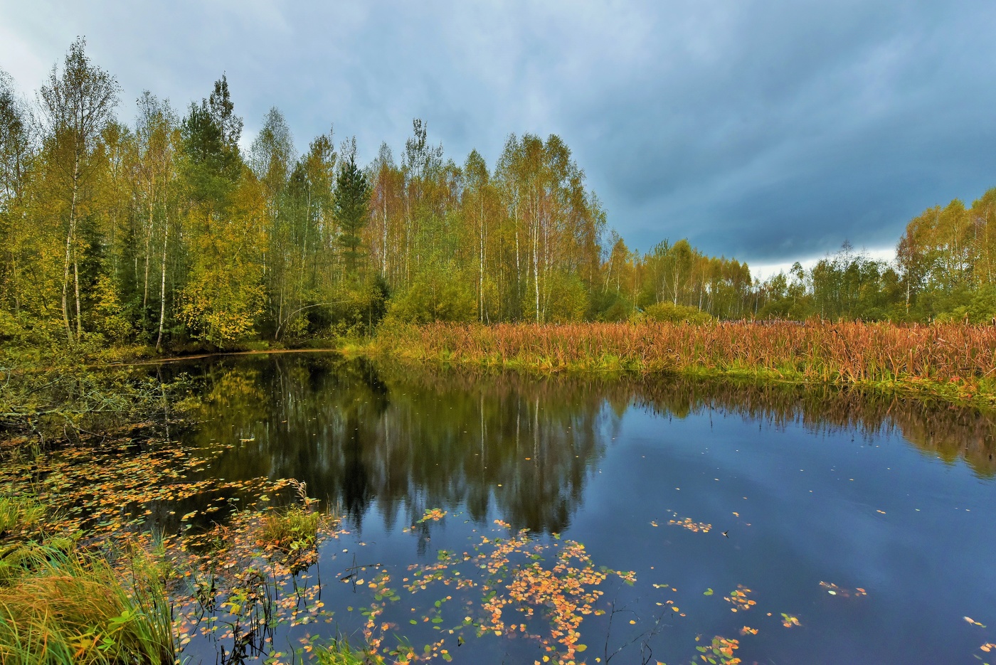 "Уж небо осенью дышало, уж реже солнышко блистало..."