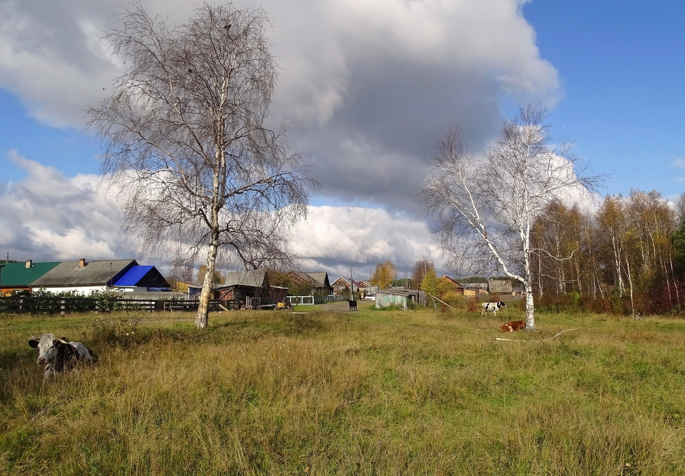 За околицей...