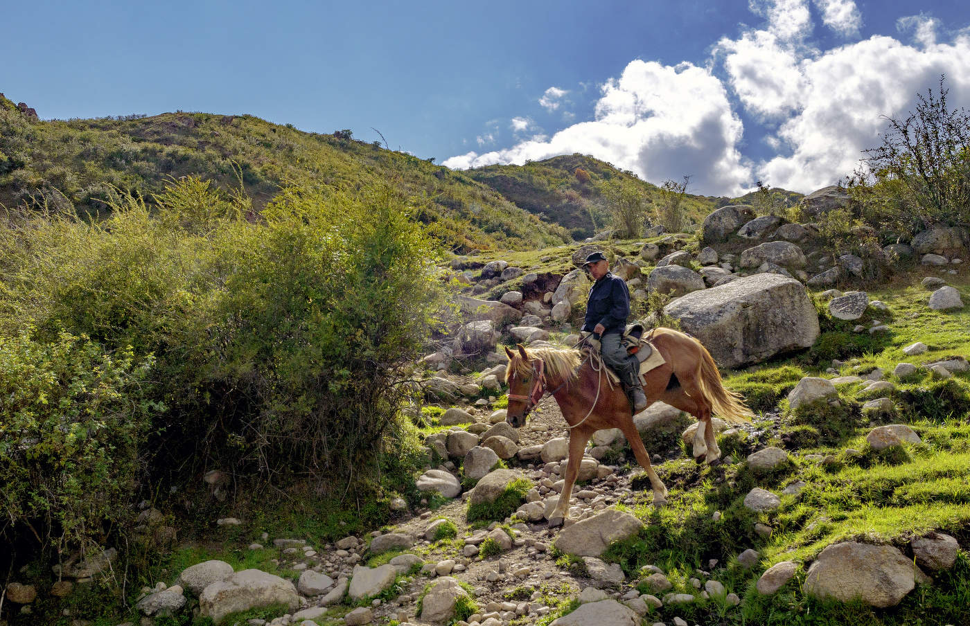 По горным тропам