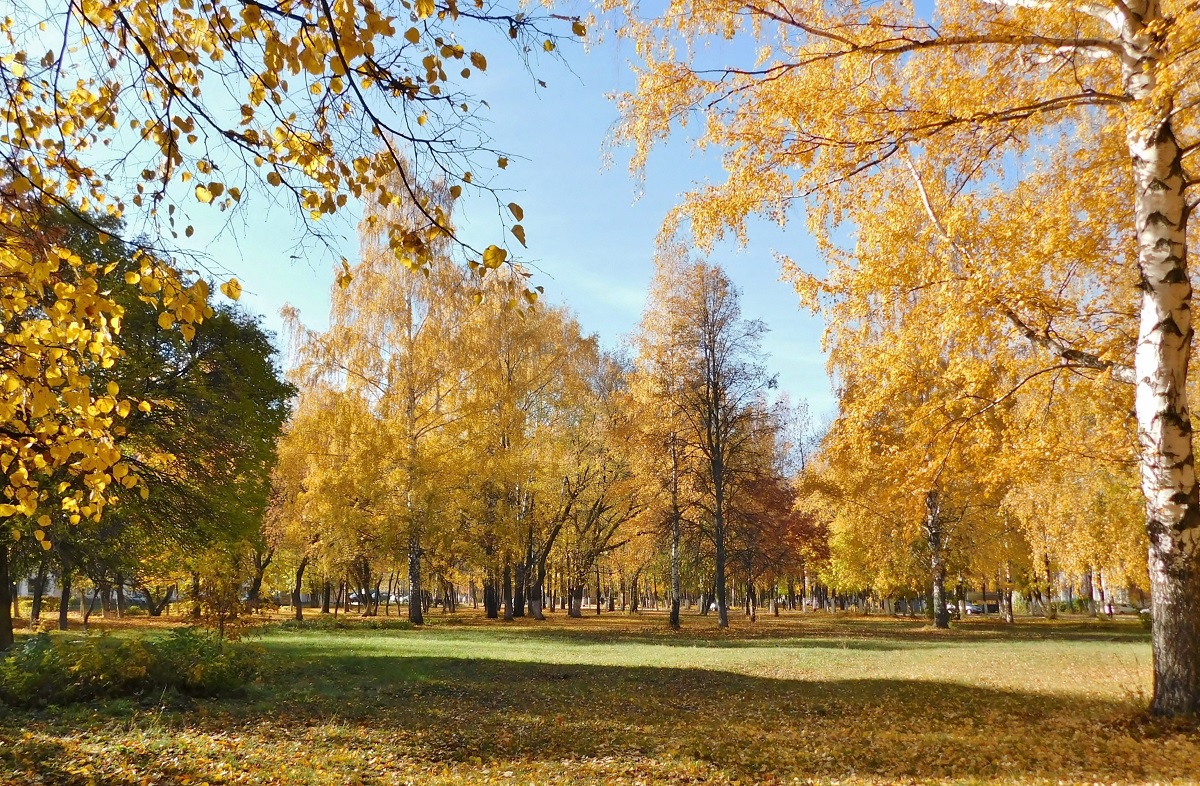 Осень, рыжая подружка