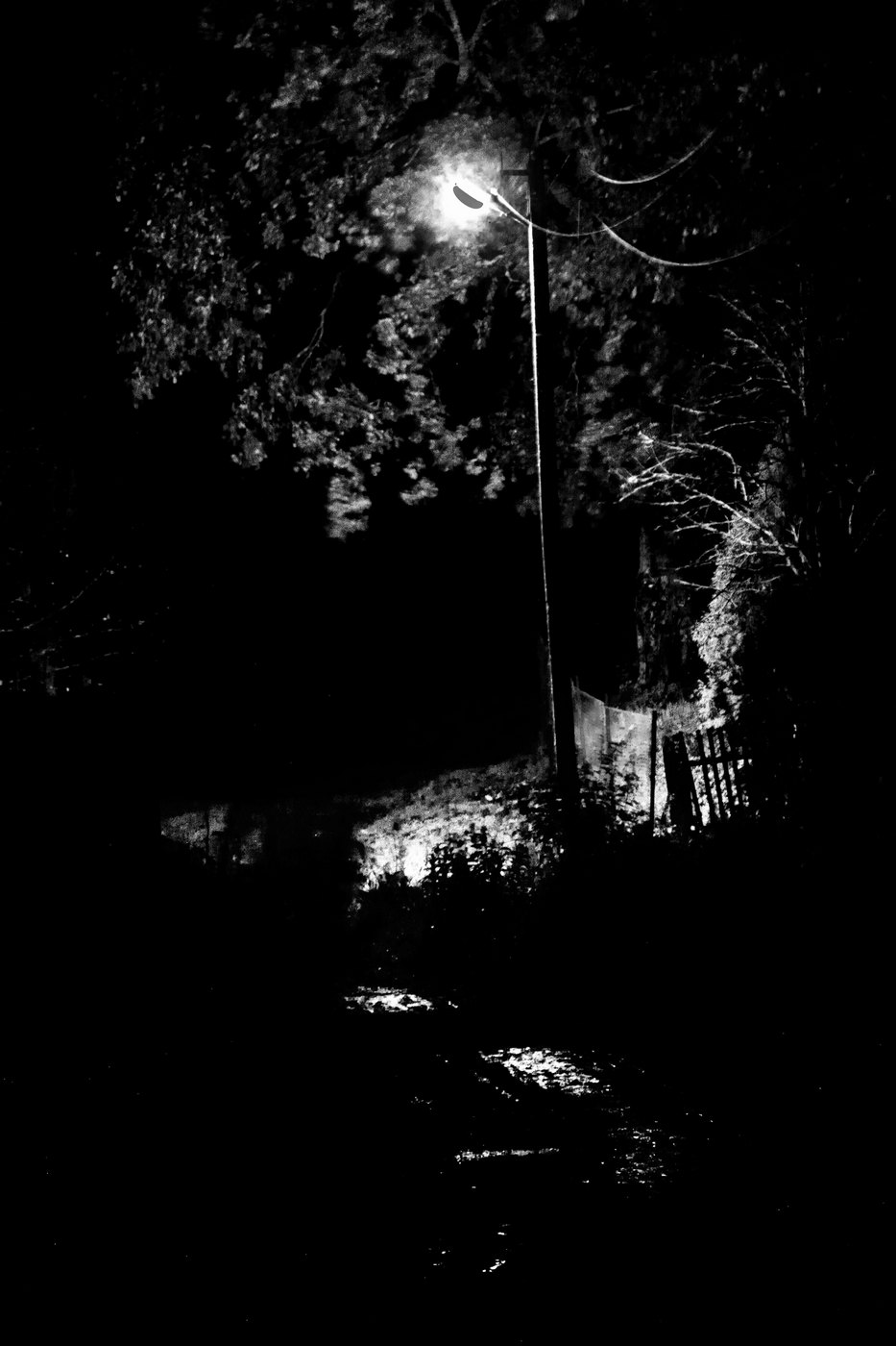 Жизнь вокруг