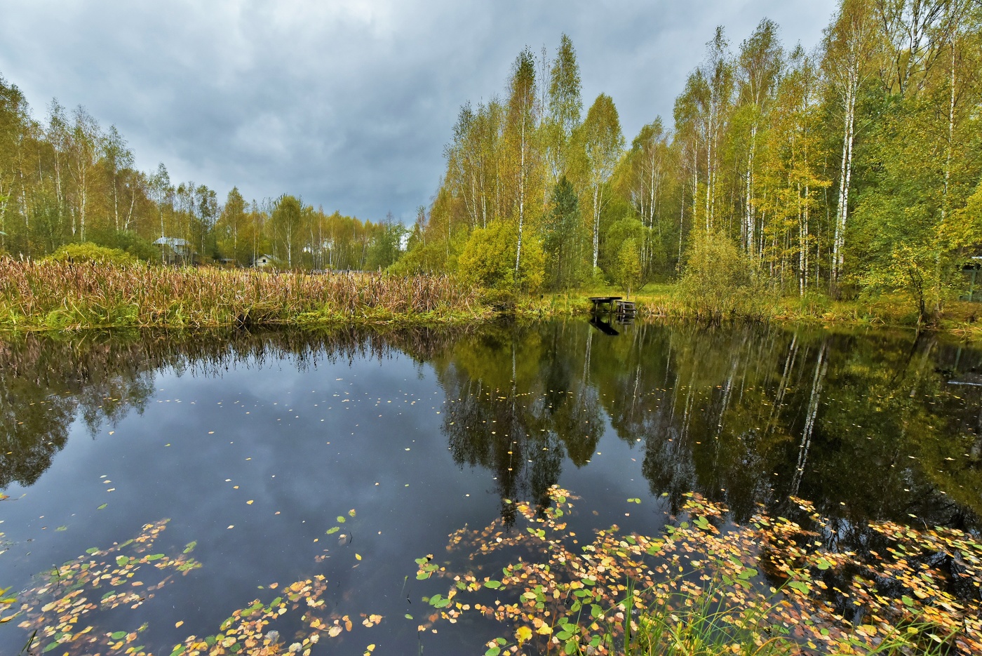 "Но осень я люблю; она мила мне ..."