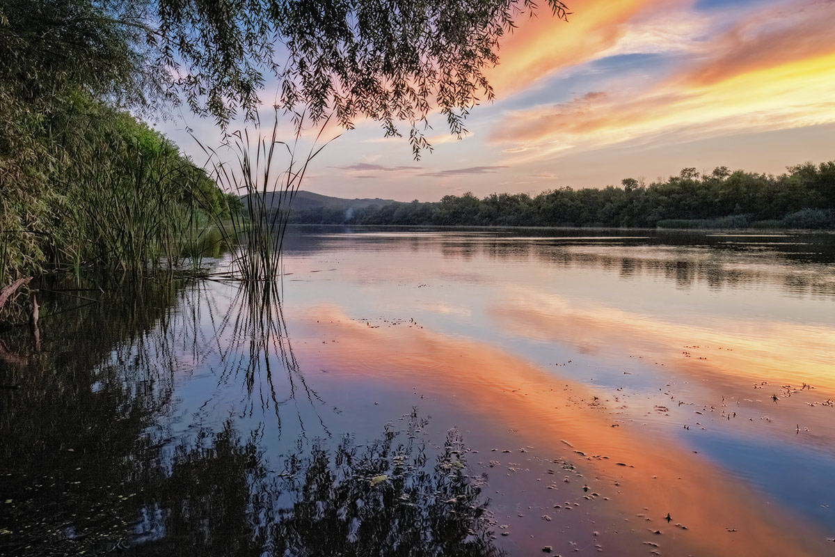 Тихий Донец