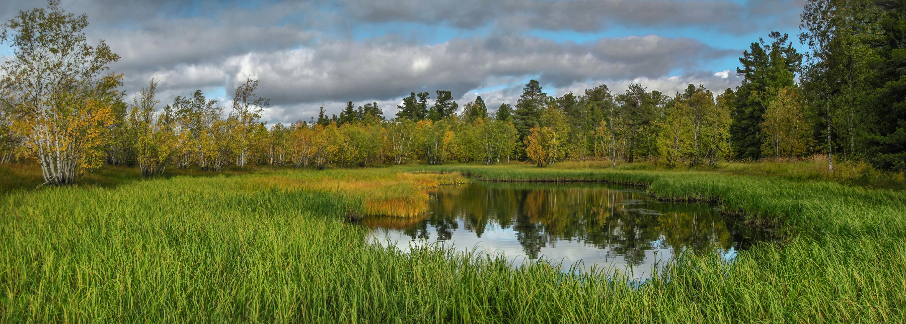 небо серое всё ниже...