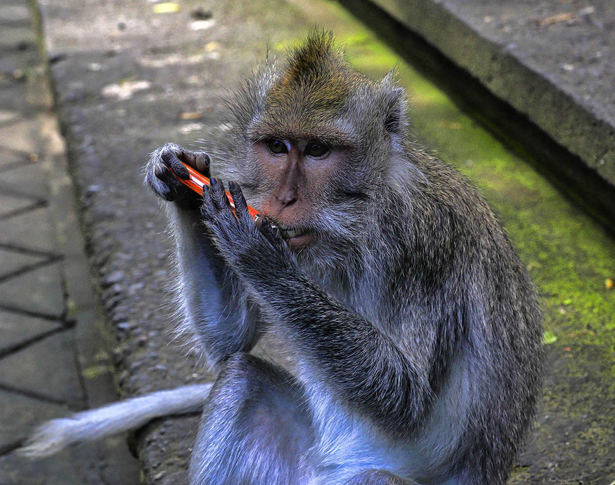 А вдруг вкусно?