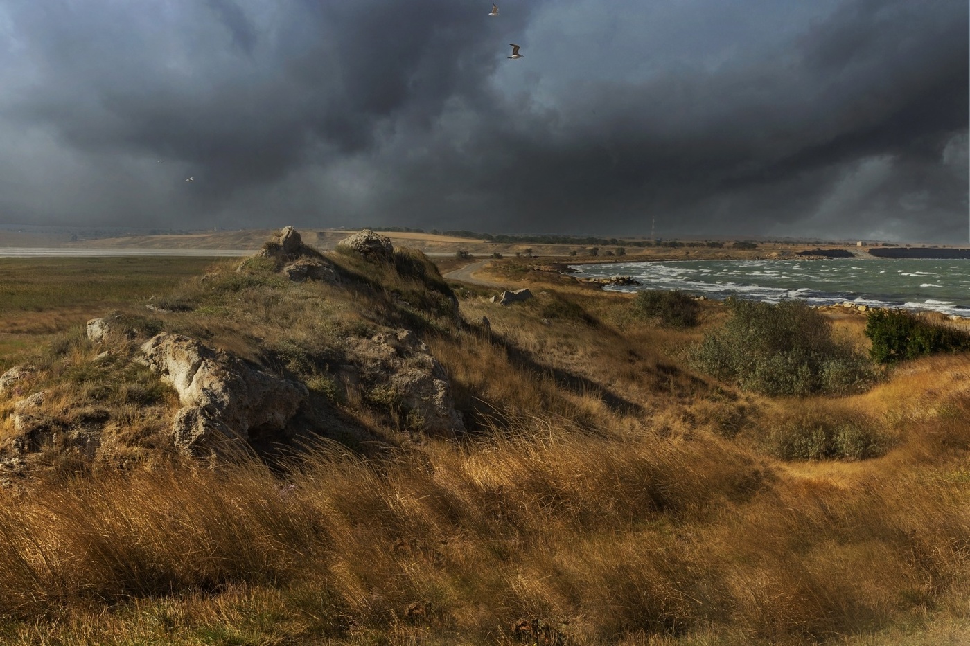 "Территория"