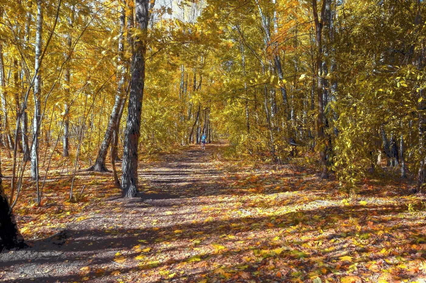 Осень в Ботаническом саду