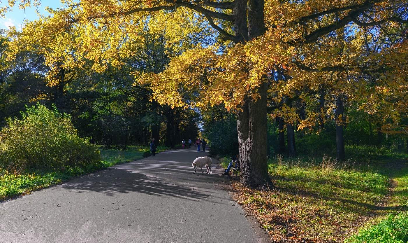 Осень в Ботаническом саду