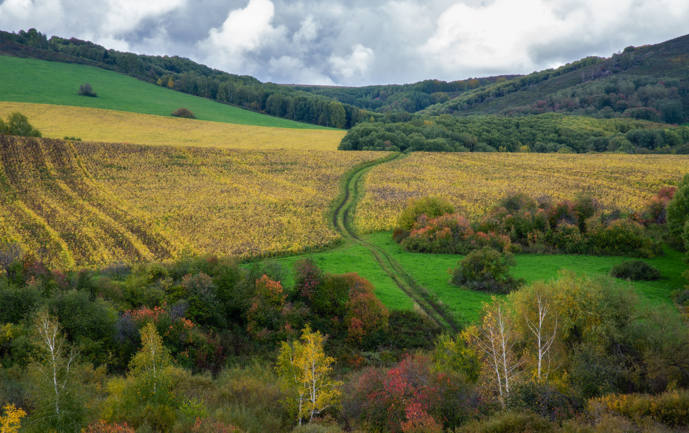 Осенние зарисовки