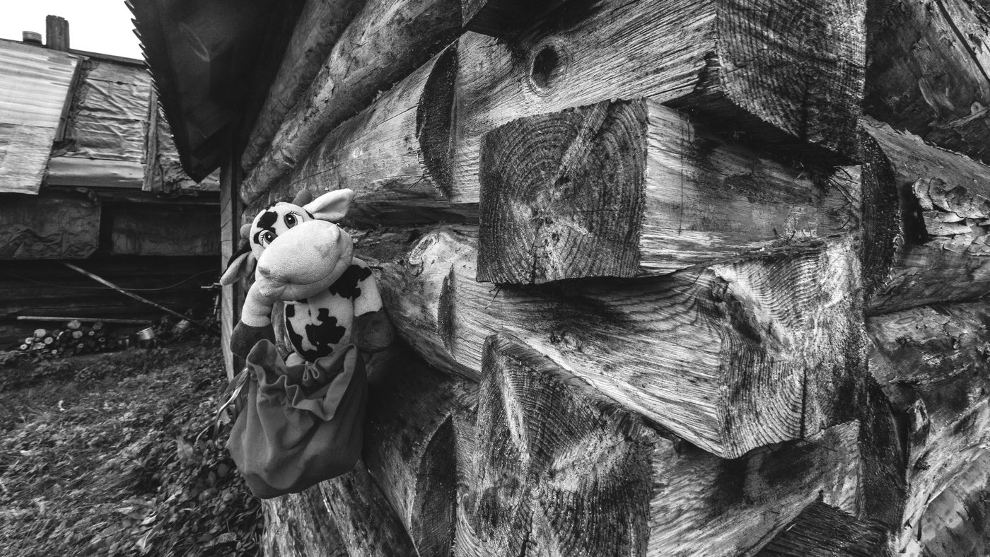 Жизнь вокруг