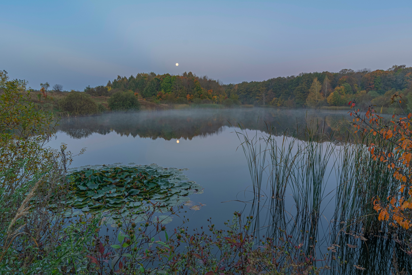 в сумеречных лучах
