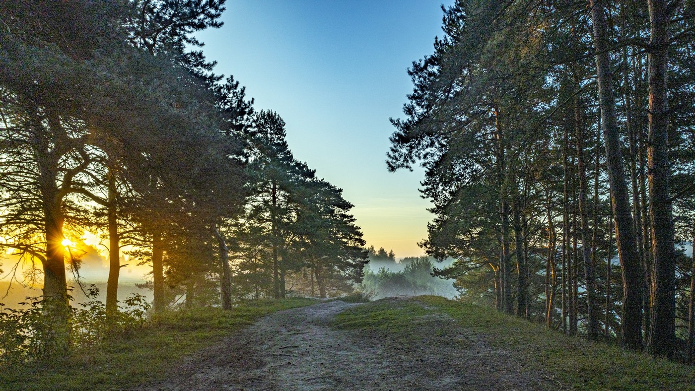 Заре навстречу