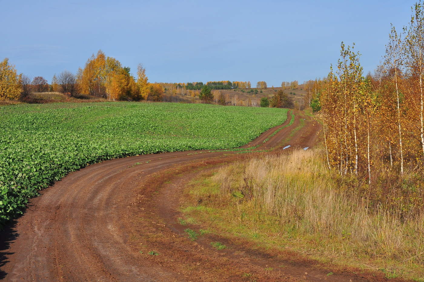 Дорогами октября.
