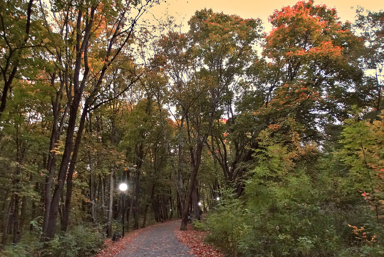 Тихо осенним вечером в парке