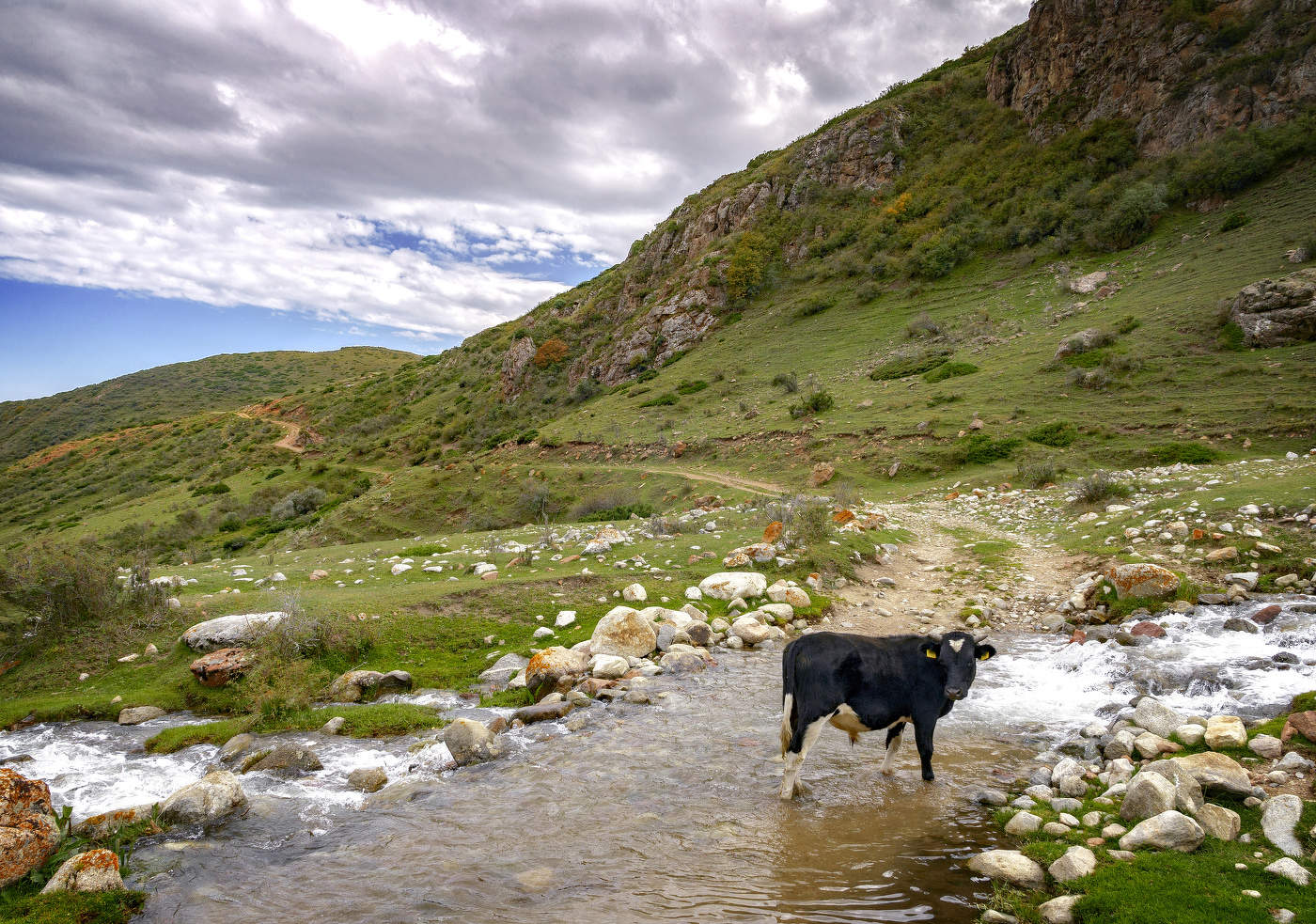На горной дороге