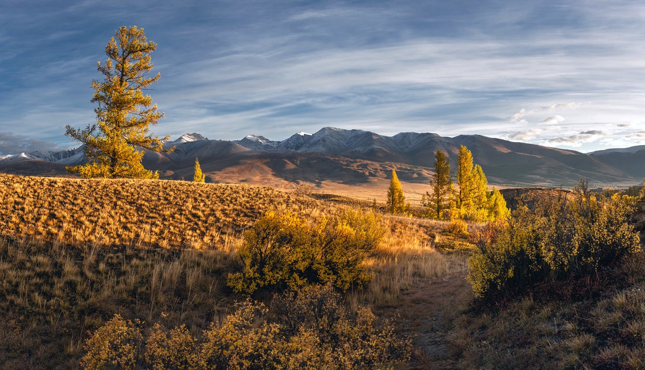 По тропинкам Алтая