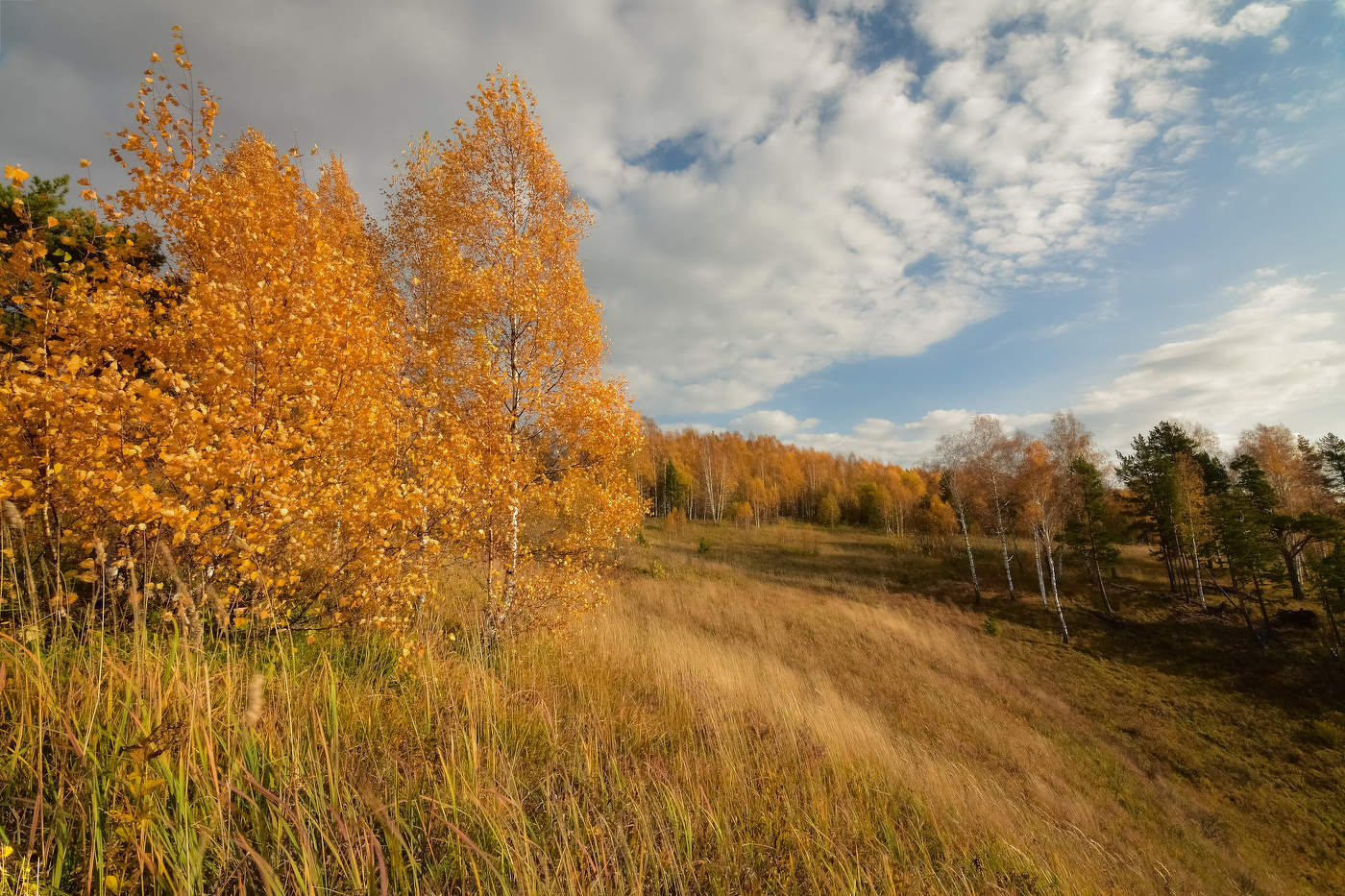 Пейзажи золотой осени
