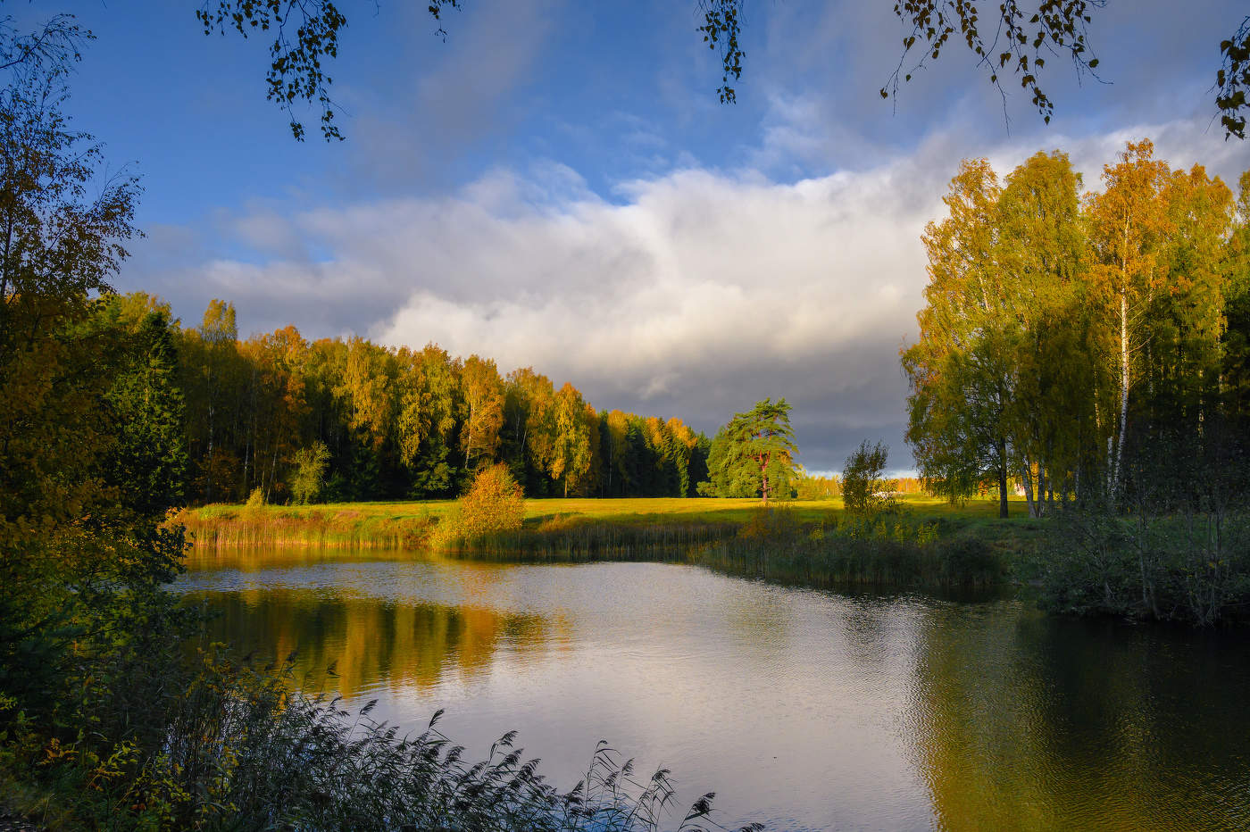 Круглозальные пруды.