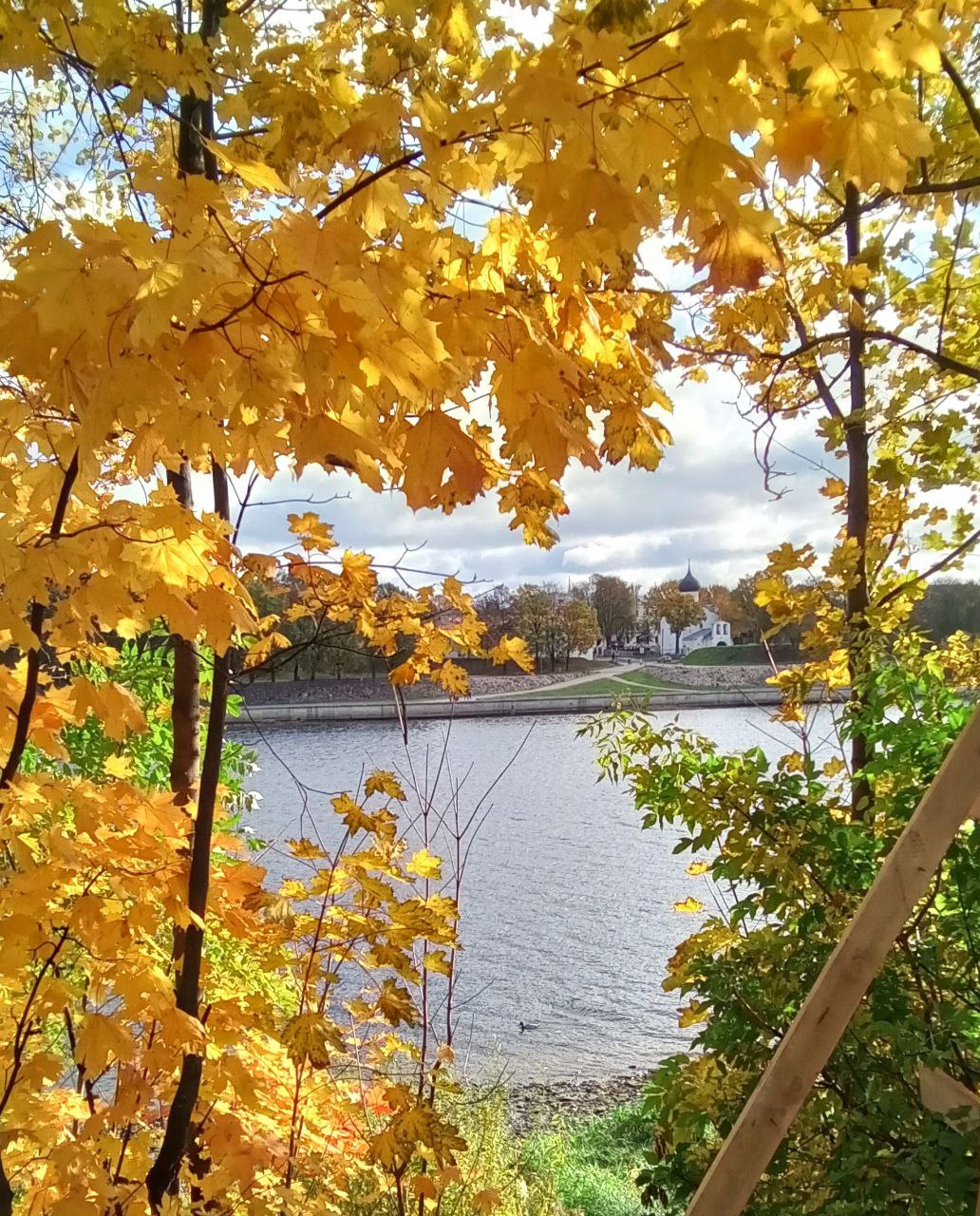 осенний вид на речку