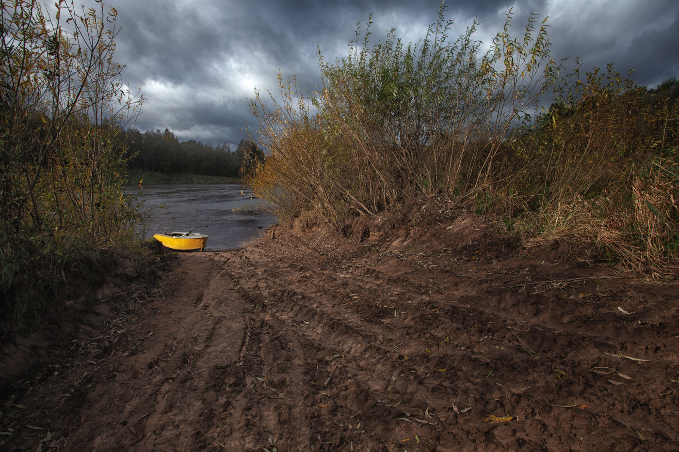 Жизнь вокруг