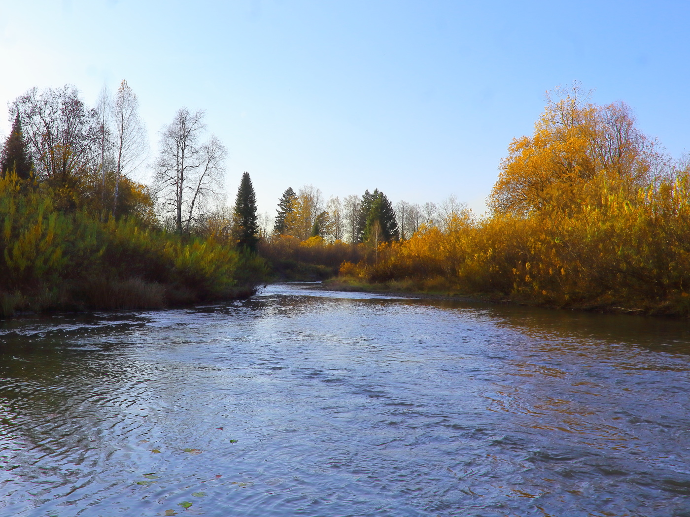 Ты неси меня река
