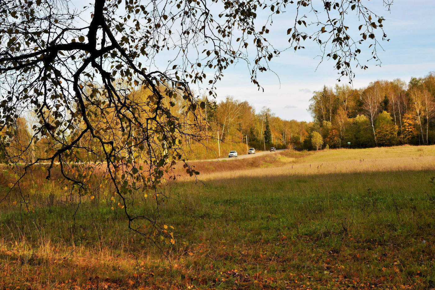 "Мне грустно! Меня раздражает и солнца осеннего блеск..."