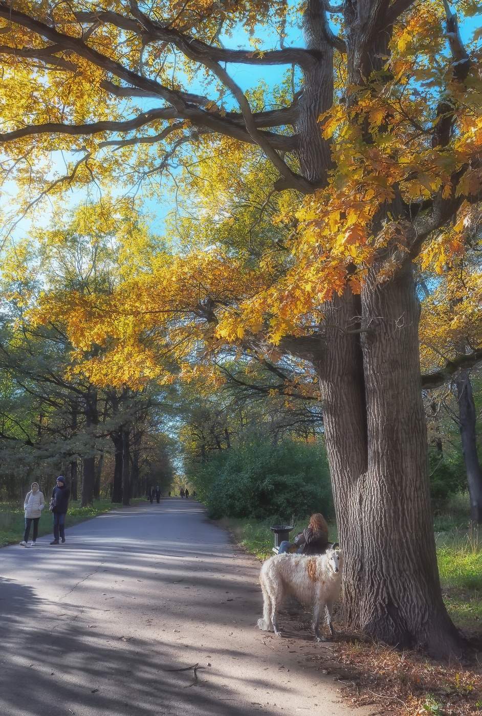 Осенние дни в Ботаническом саду