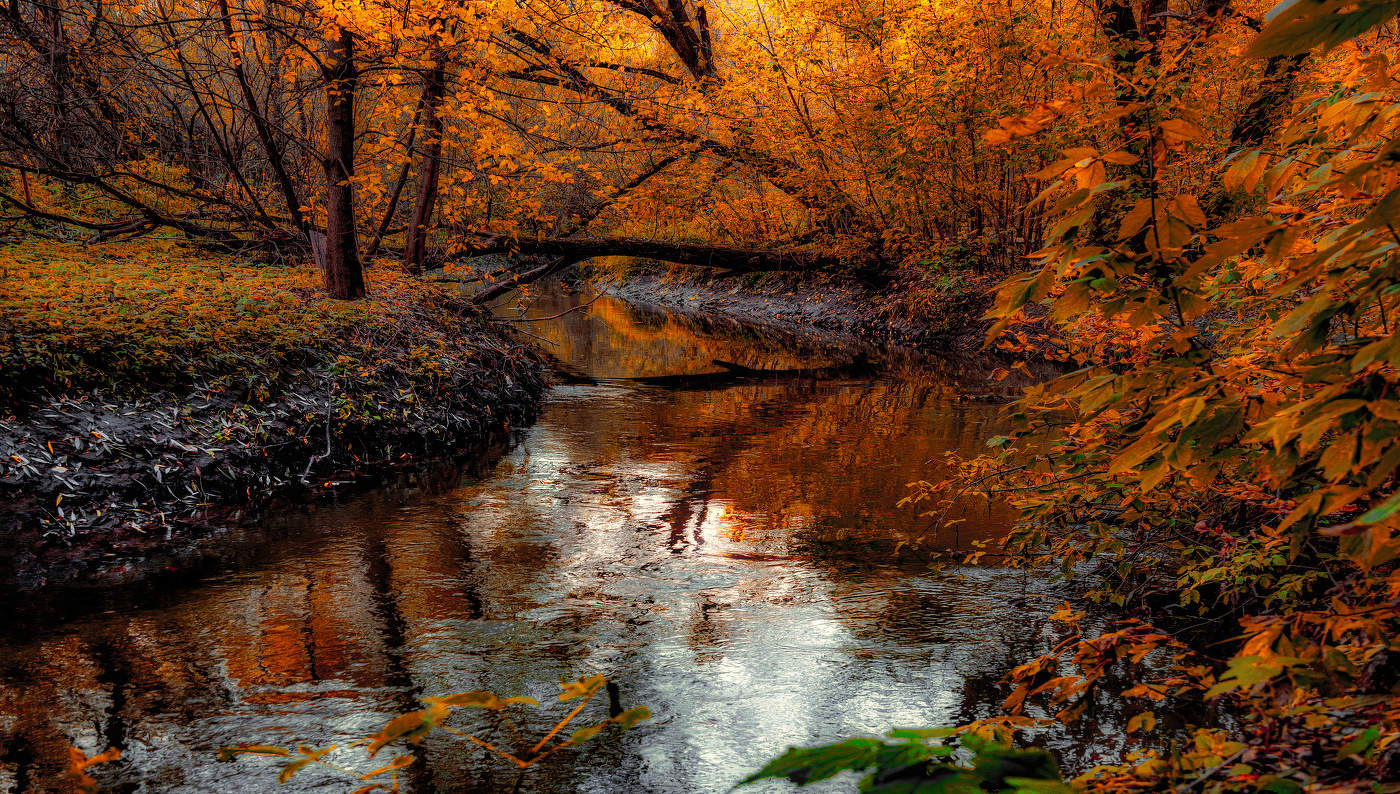 Сетунь осенью.
