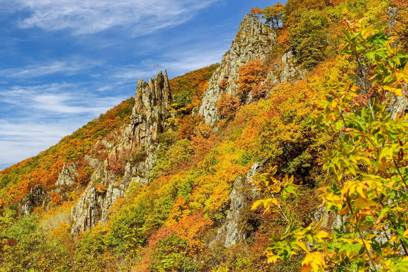 Осенний Сихотэ-Алинь