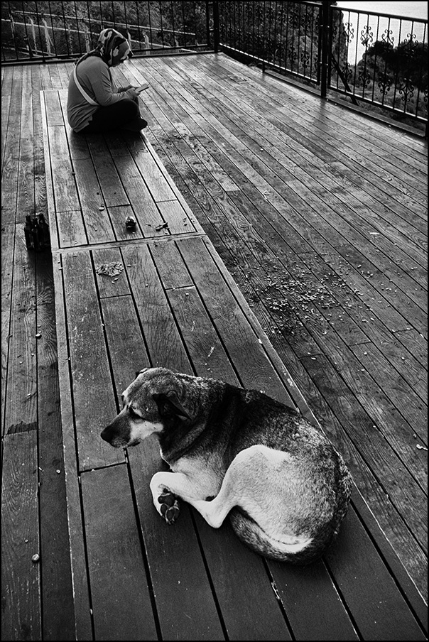 этюд с тремя бутылками из-под жигулевского и немереным количеством шелухи из-под семечек, кажется