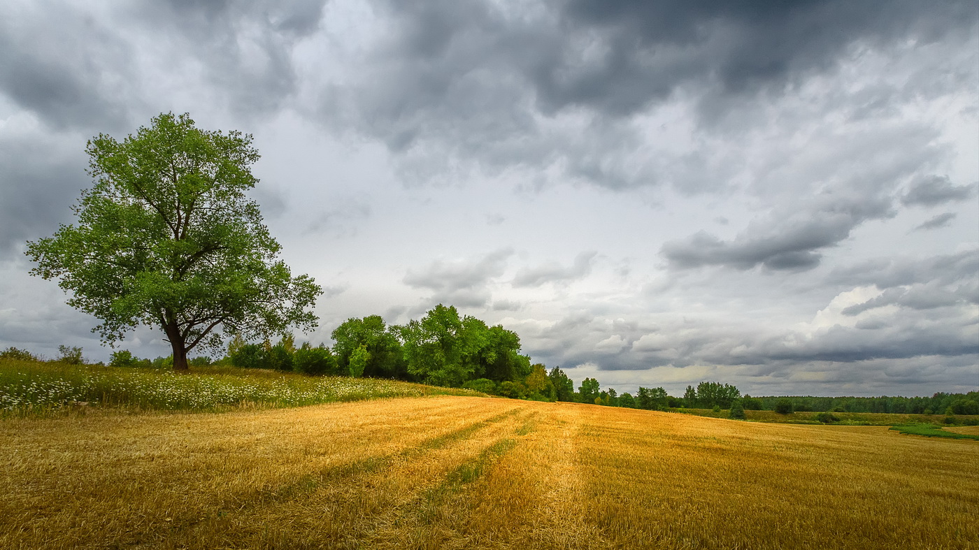 Где-то за городом